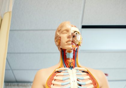 The Connection Between Oral Health and Overall Health